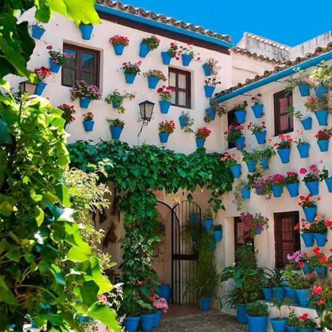 Cordvba Osario Centro Lägenhet Córdoba Exteriör bild