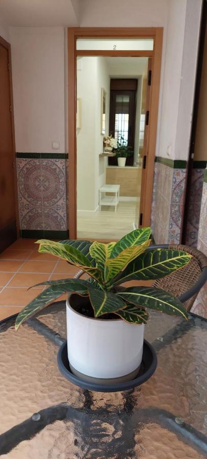 Cordvba Osario Centro Lägenhet Córdoba Exteriör bild